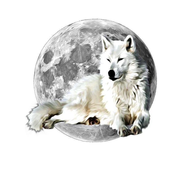wolf