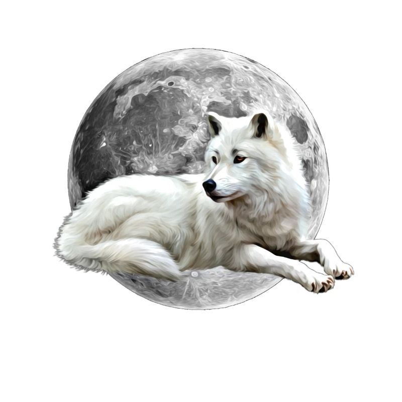 wolf