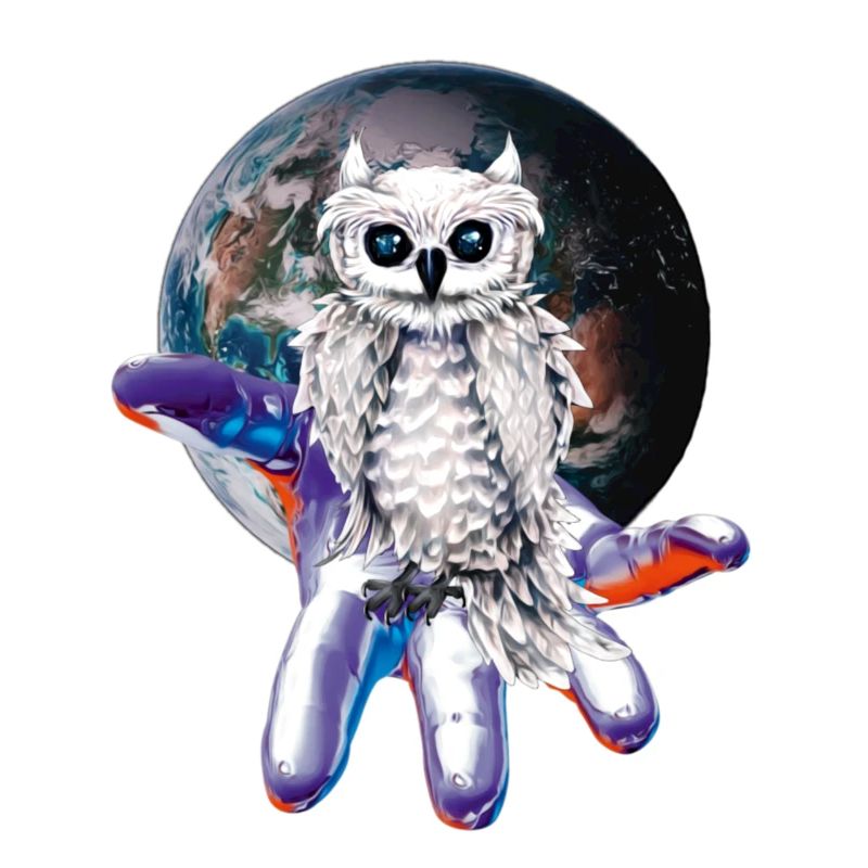 owls