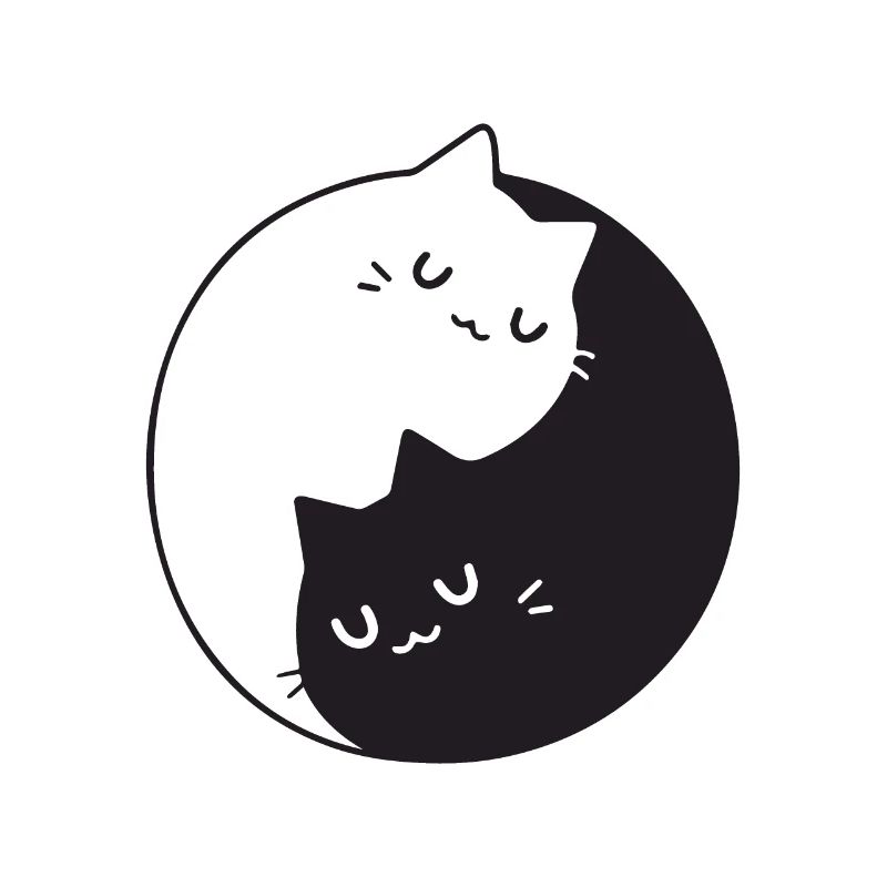 BLACK N WHITE CAT