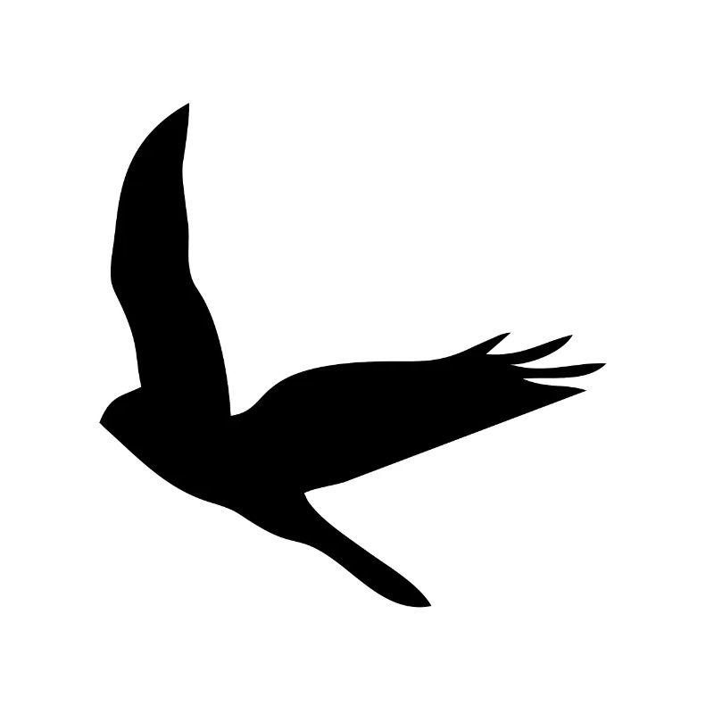Oiseau Oiseau Oiseau Oiseaux