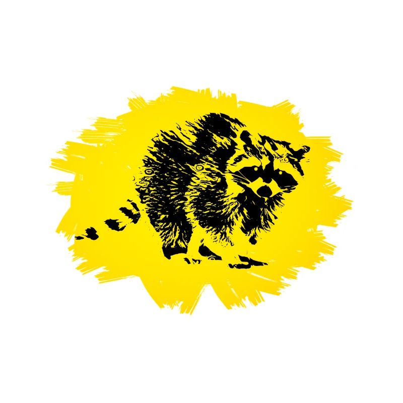 Rat de lavage
