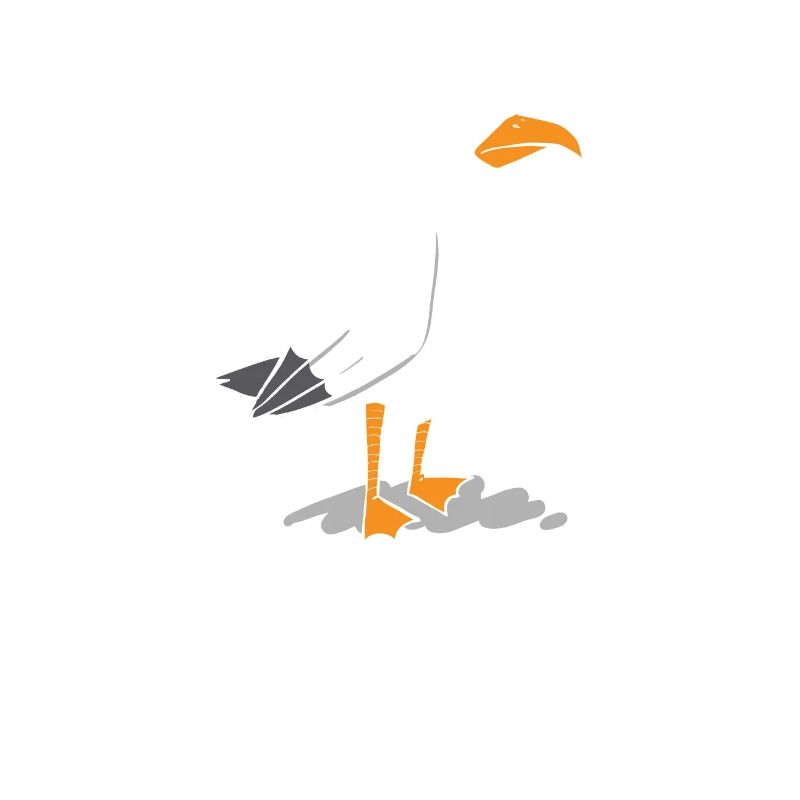 Bevor du fragst Nein Vogel