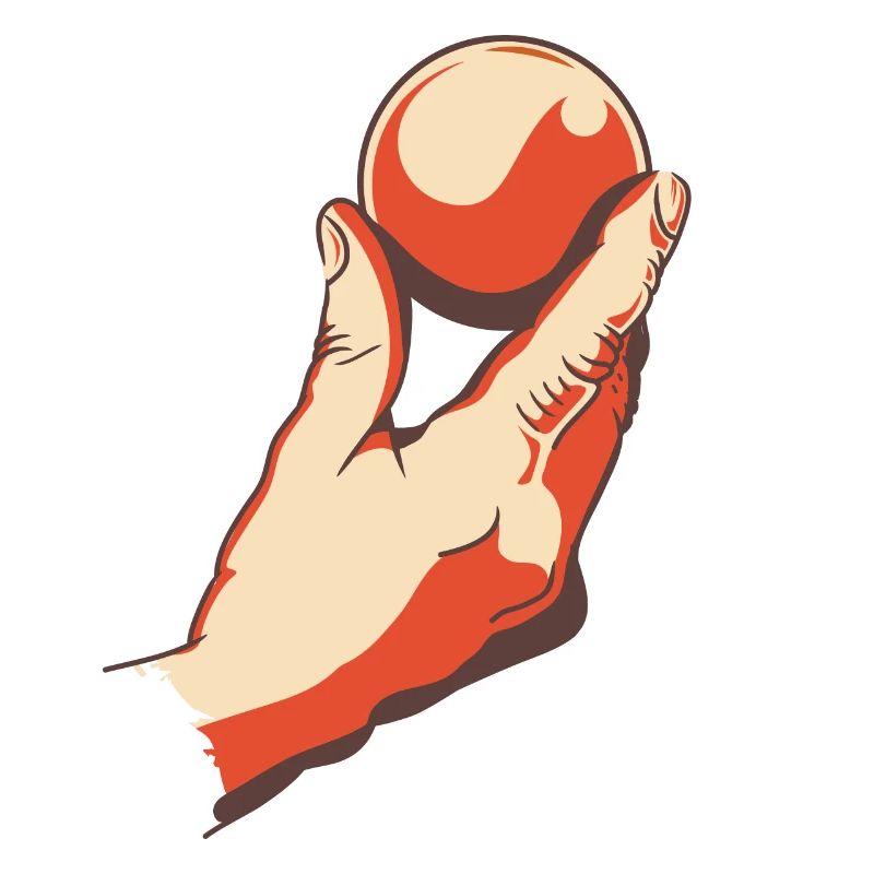 Boules de boule pour Bouler Boccia Jeu Botcha Boule