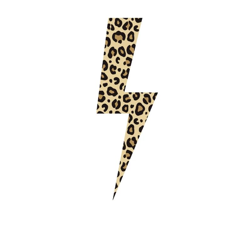 Léopard Lightning Big Cat Afrique
