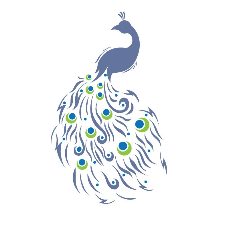 Pfau mit wunderschönen Schweif Vogel Tier