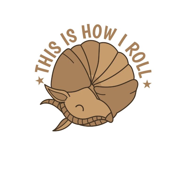 C'est comme ça que je roule America Armadillo Desert
