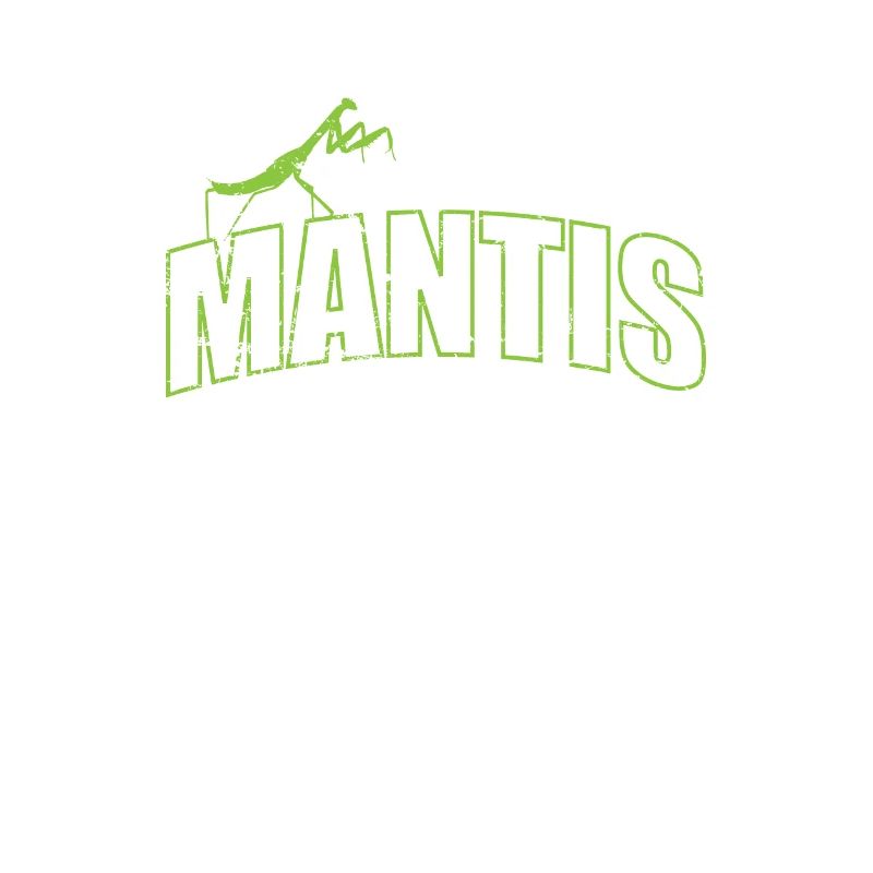Mantis insect on the script