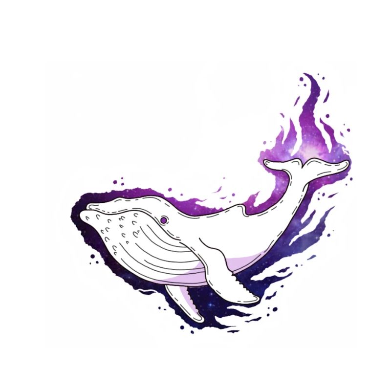 Whale galaxy
