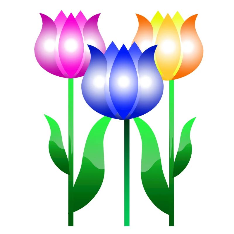 Fleurs de tulipes