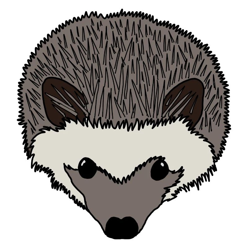 Igel Kopf