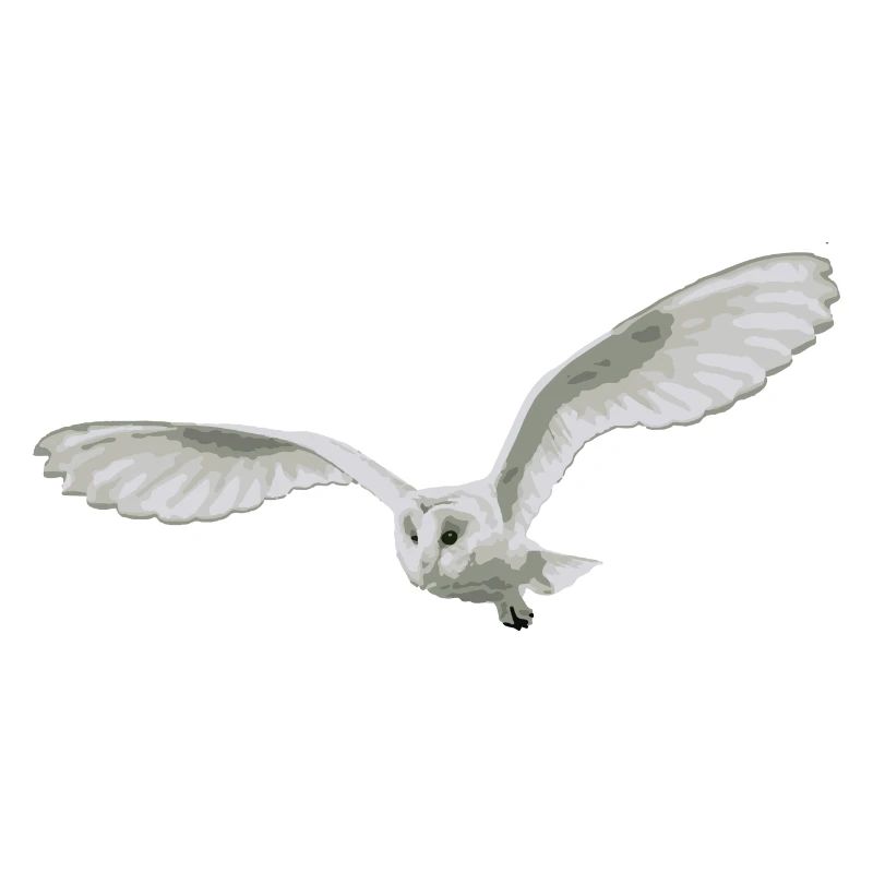 Eule