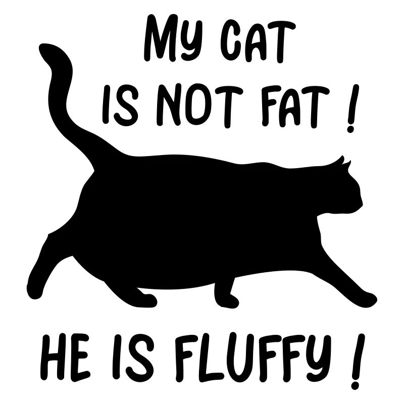My cat is not fat ! He is fluffy !