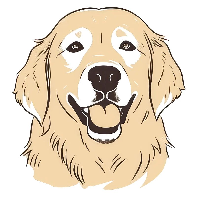 Golden Retrievers