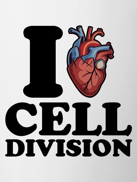 J’aime la division cellulaire
