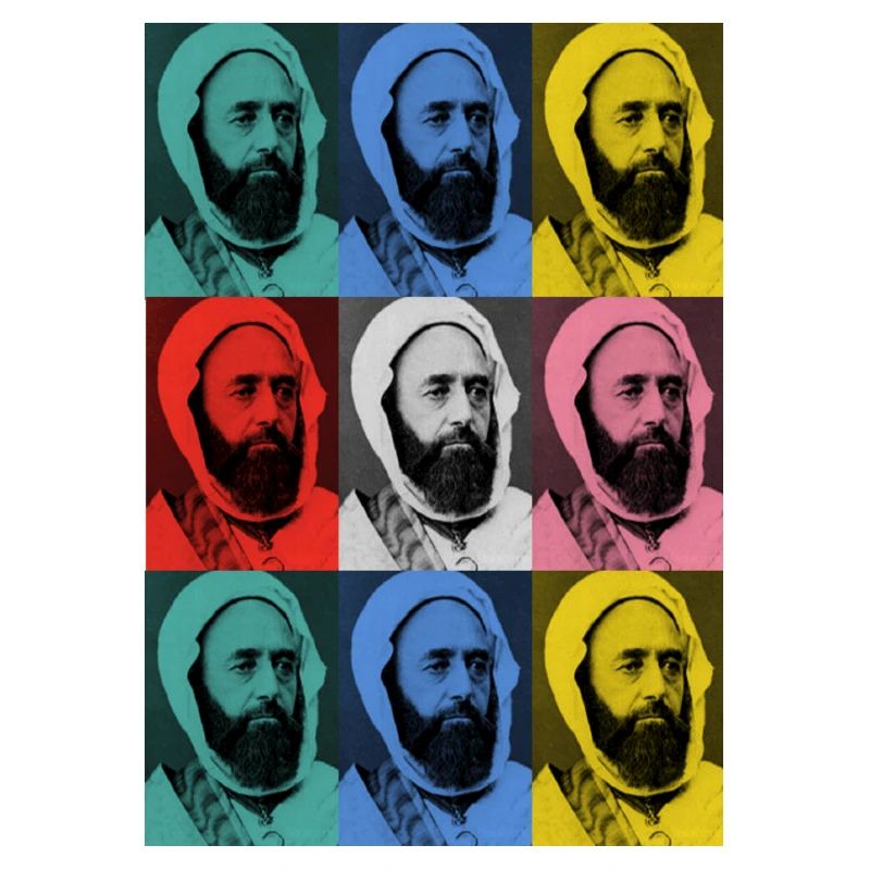 EMIR ABDELKADER pop art