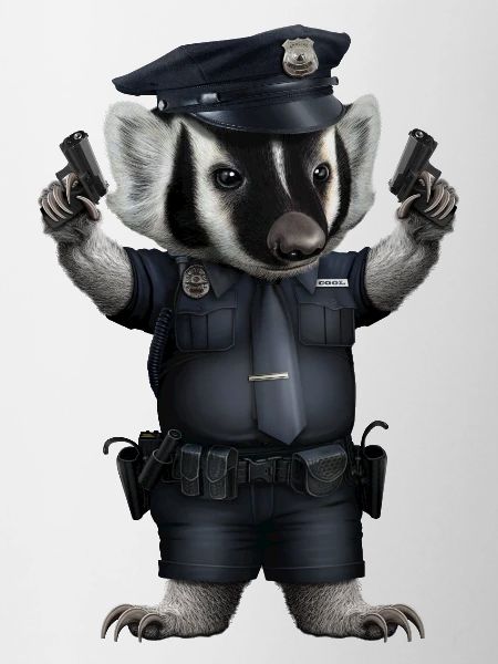 BADGER POLICE