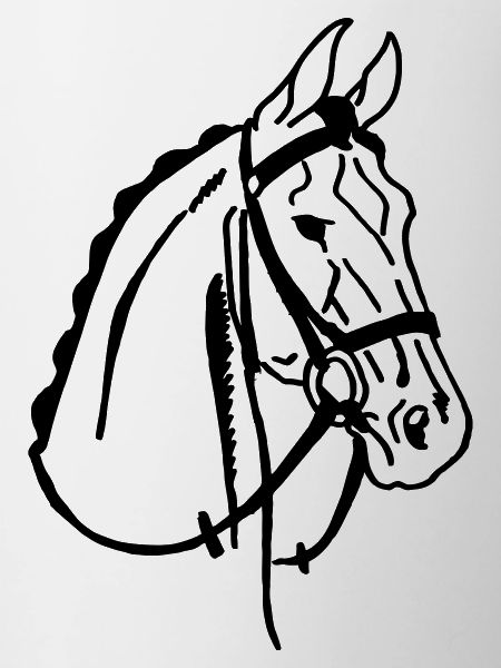 Cheval de selle