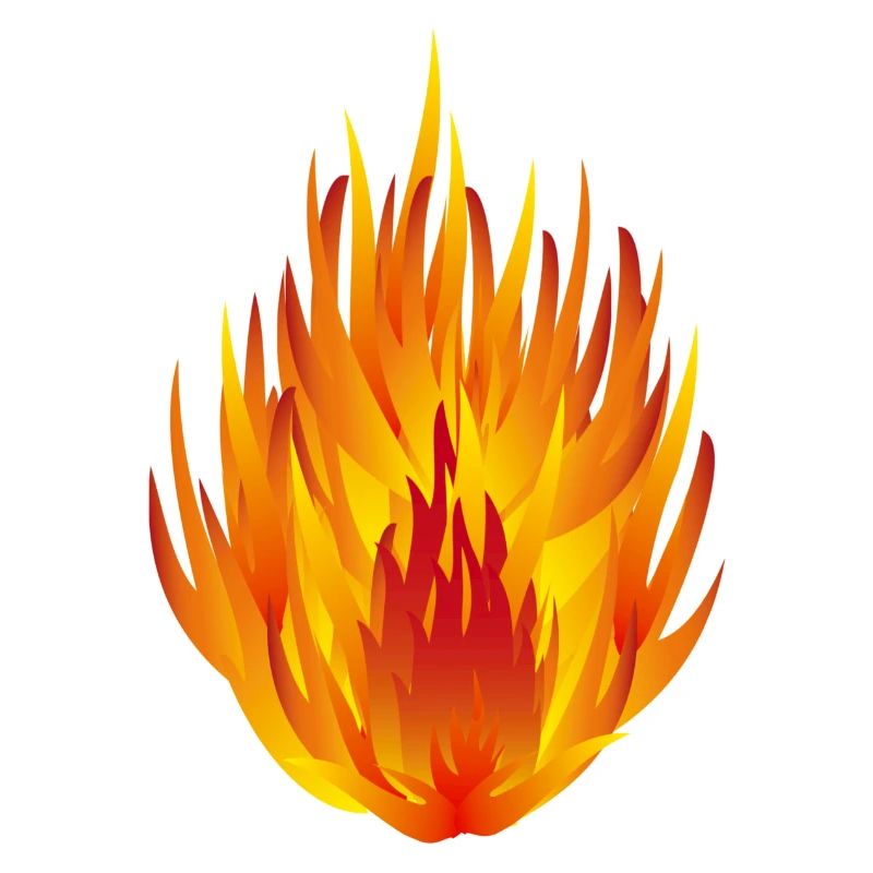 konzentrat