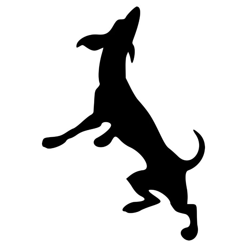 dog82