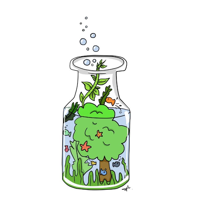 Nature Bottle