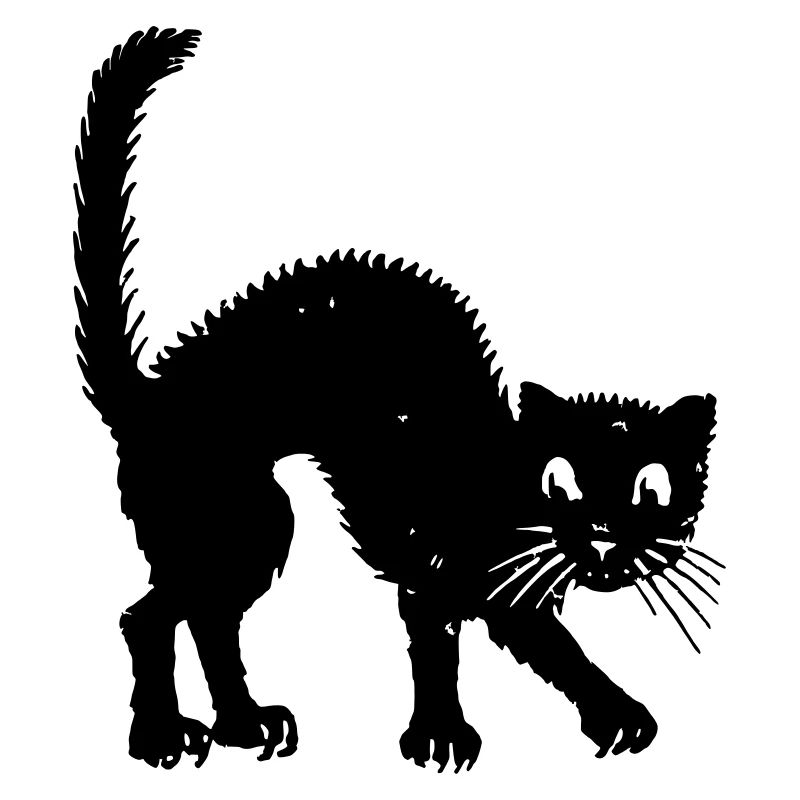 Buckelkatze