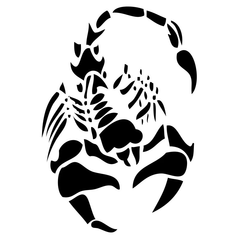 skorpion schwarz