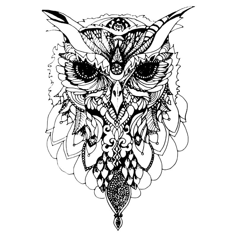 owl