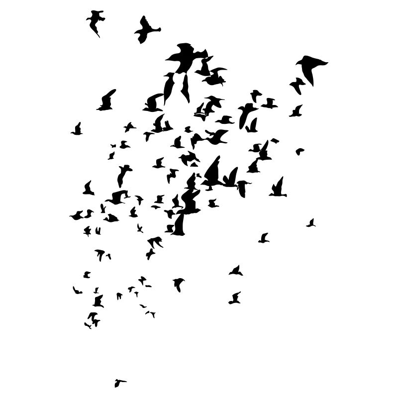 Birds