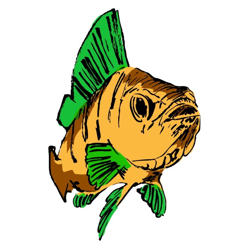 Poisson poisson trouve nemo aquarium poisson kinder meer