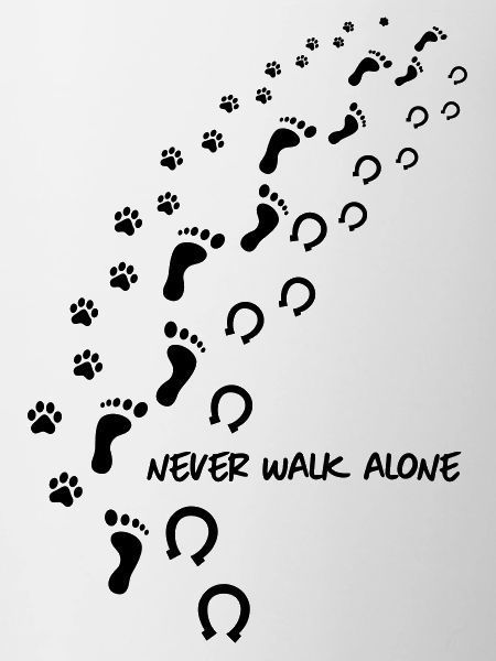 never walk alone hund pferd