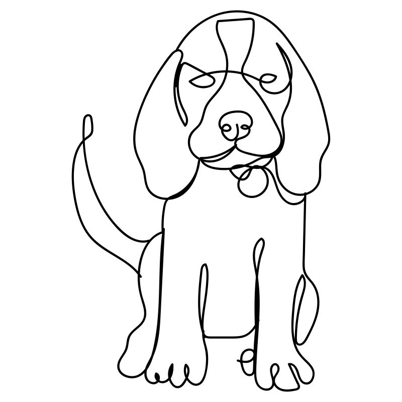 Beagle Dog