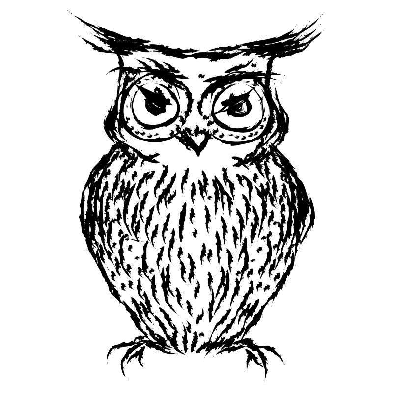 Hibou noir