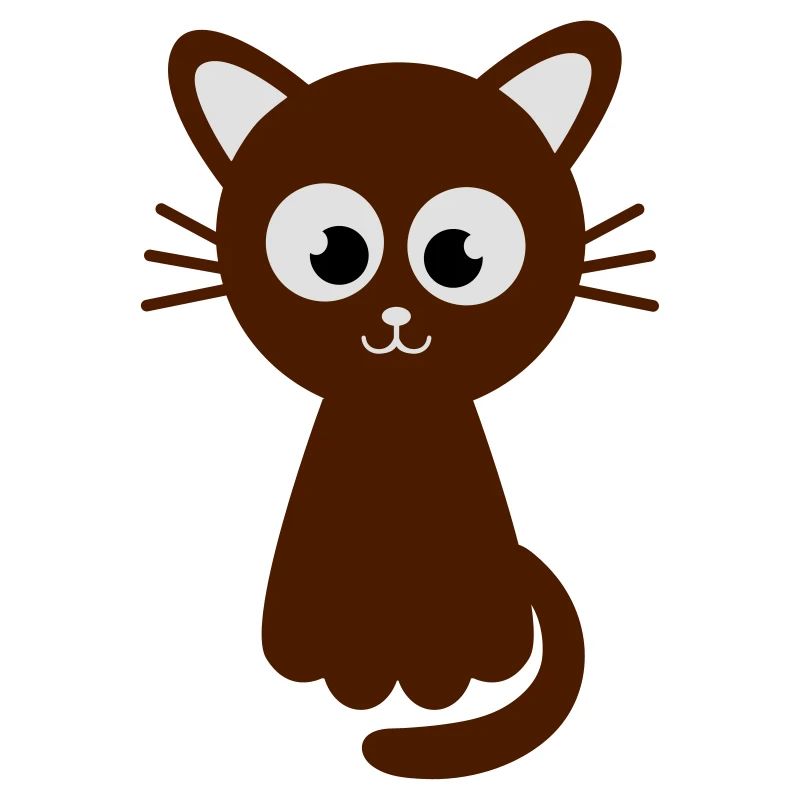 Funny sweet cat