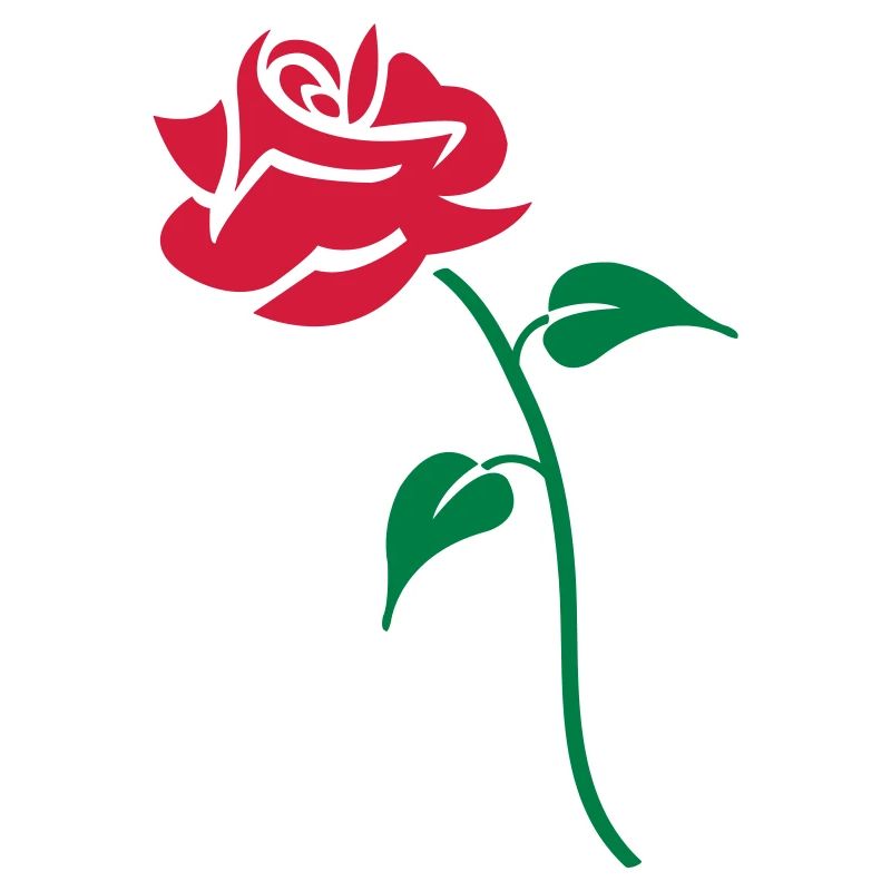 rose