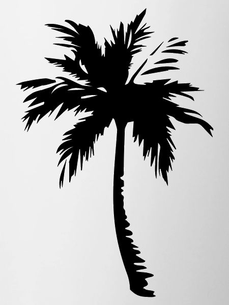 palm tree