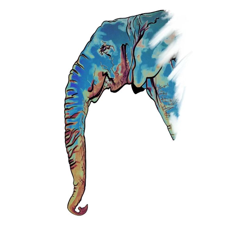 Elephant Design