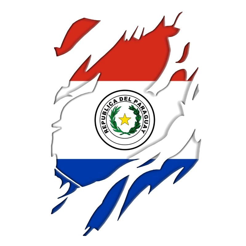 Motif déchiré du drapeau du Paraguay