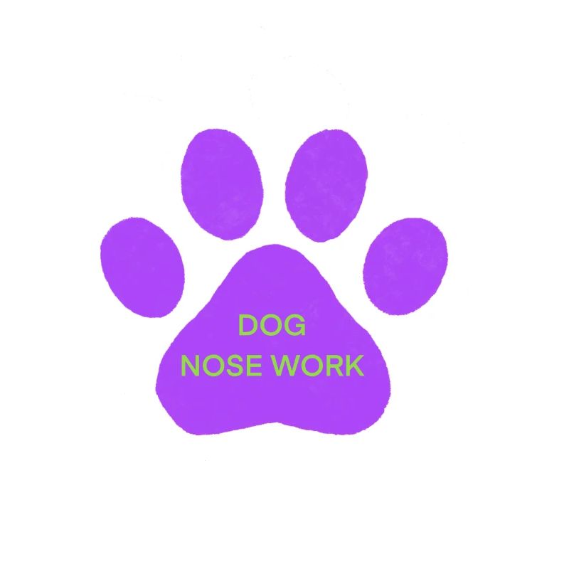 NOSE Work dog
