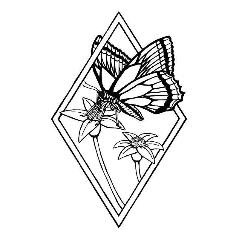 Dessin au trait papillon