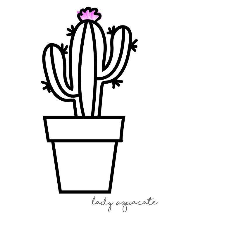 Cactus Plant