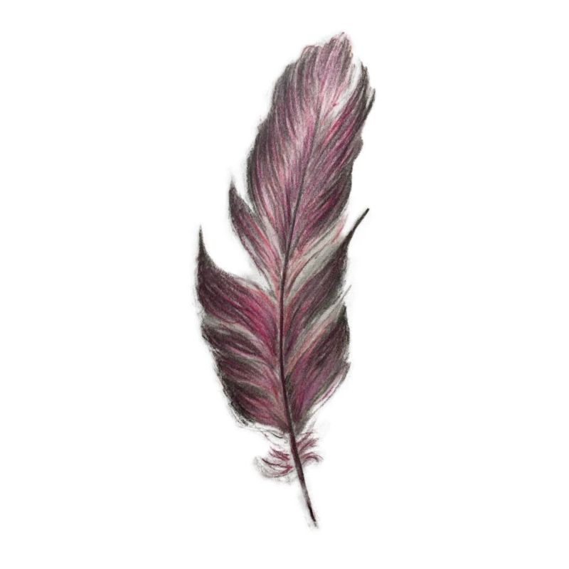 feather