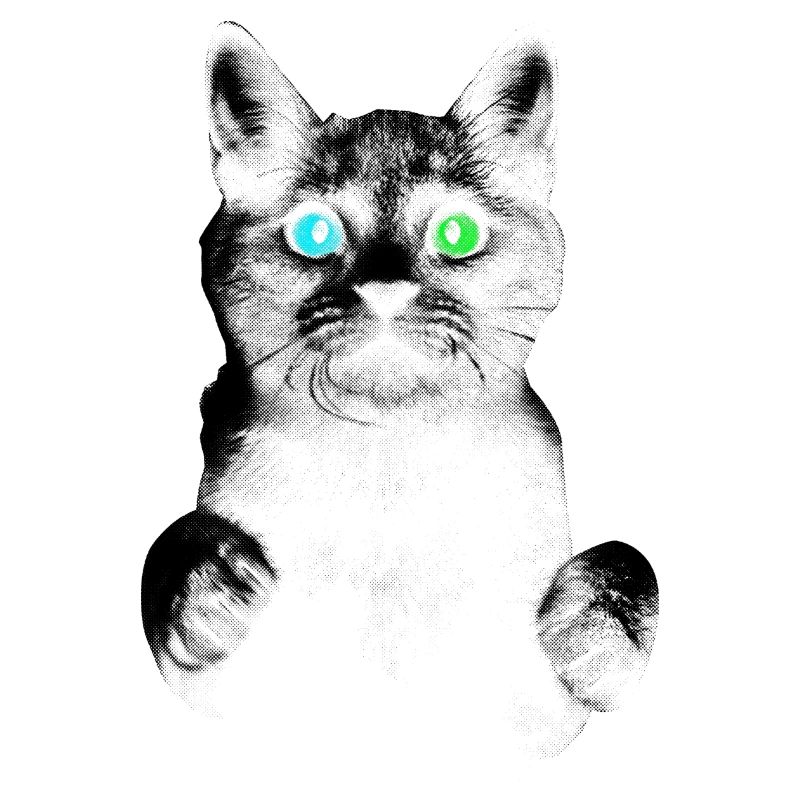 Chat