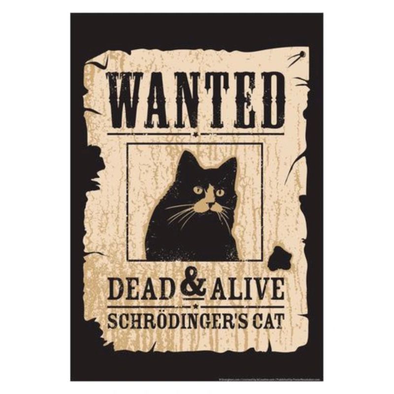 Schrodingers Katze