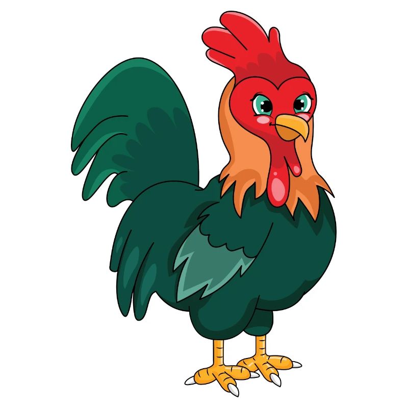 Rooster