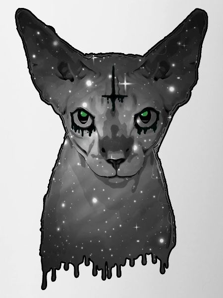 Egyptian cat Sphynx Cat