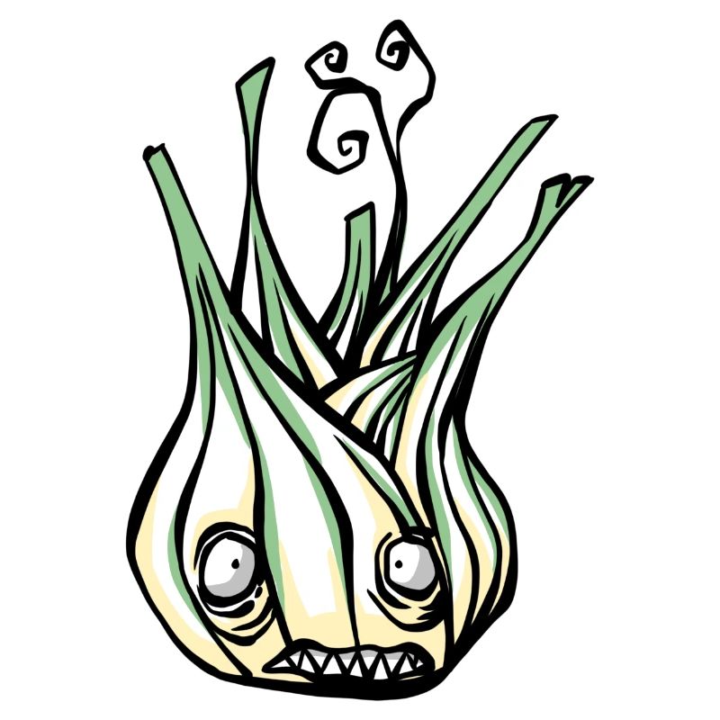 Fennel vegetable
