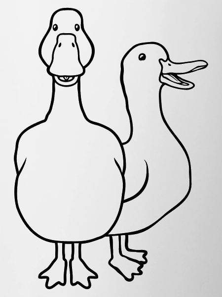 Team cute geese friends