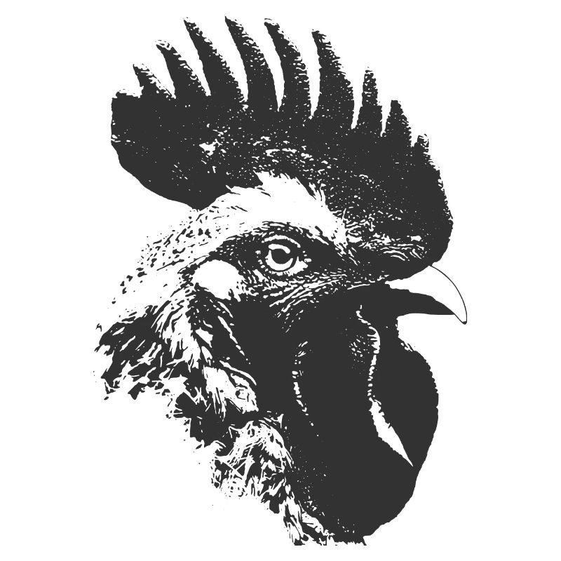 Rooster