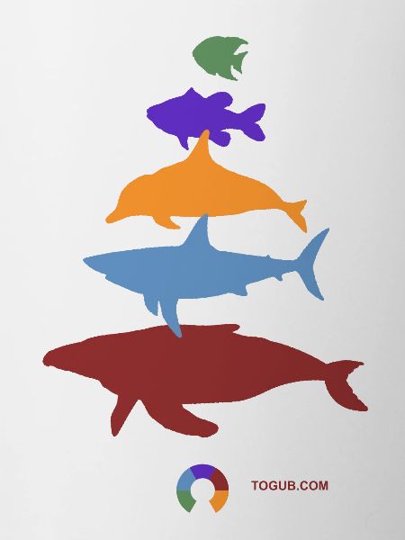 Pyramide ANIMALs Ozean